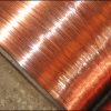 The Bactericidal Ability Of Copper