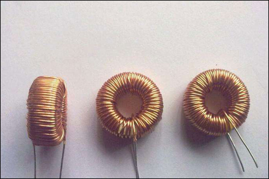 Canted Coil Spring (2)